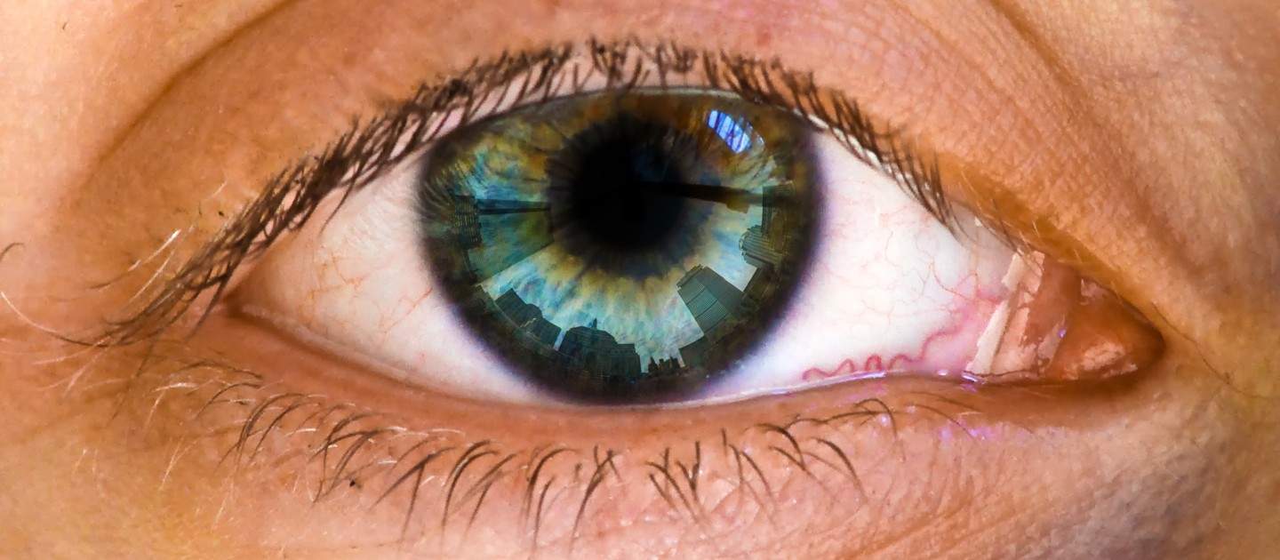 The Benefits Of Color Blindness Shivamber