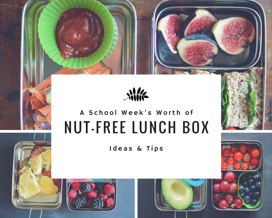 5 NutFree Lunch Box Ideas Healthy Ideas for Kids