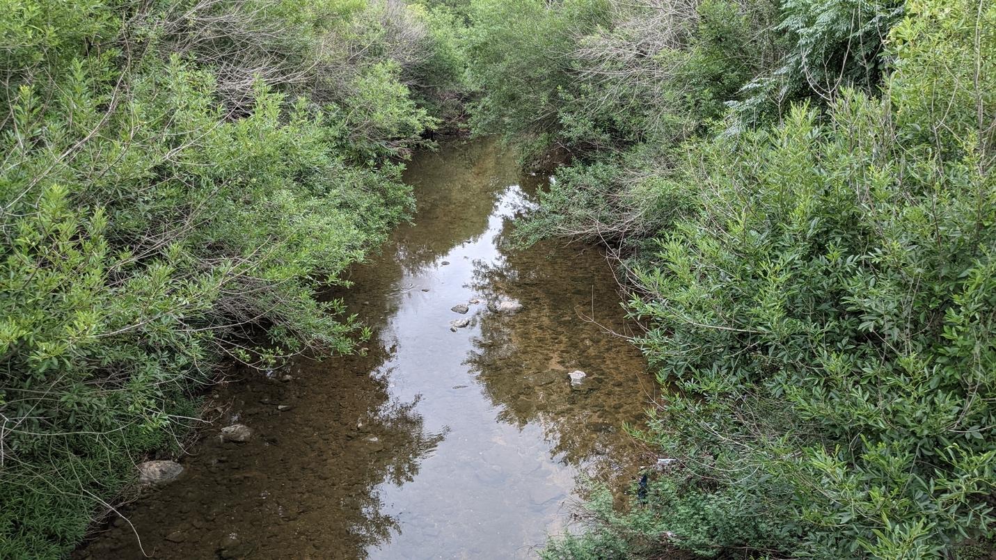 The Notorious RBZs Shoal Creek Conservancy