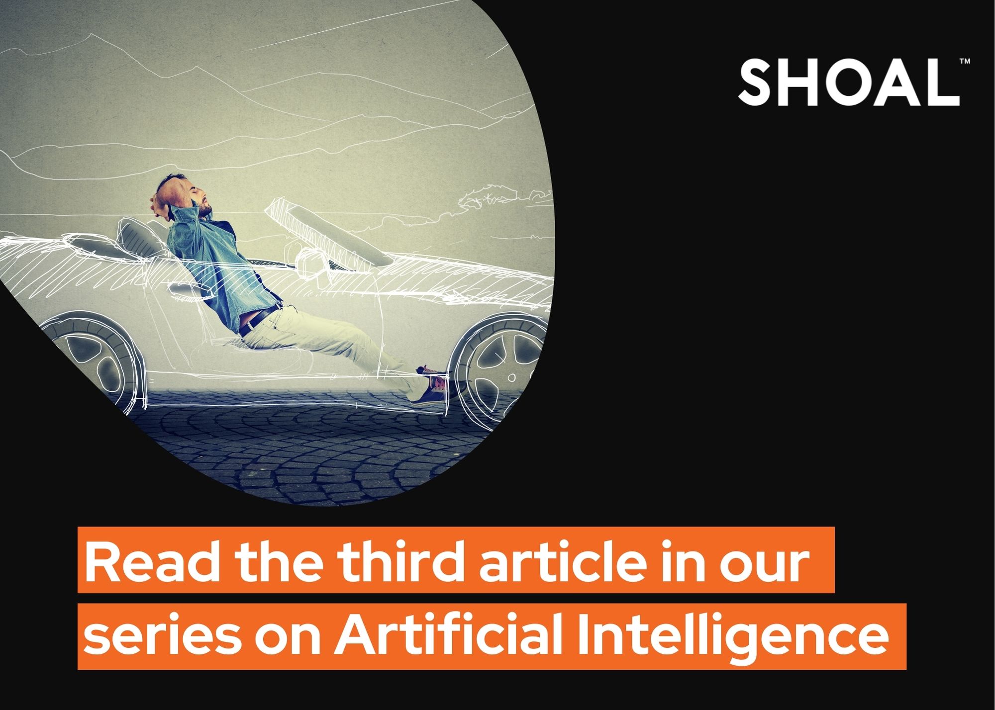 Adoption of AI in Industry Successes and Failures Shoal Group