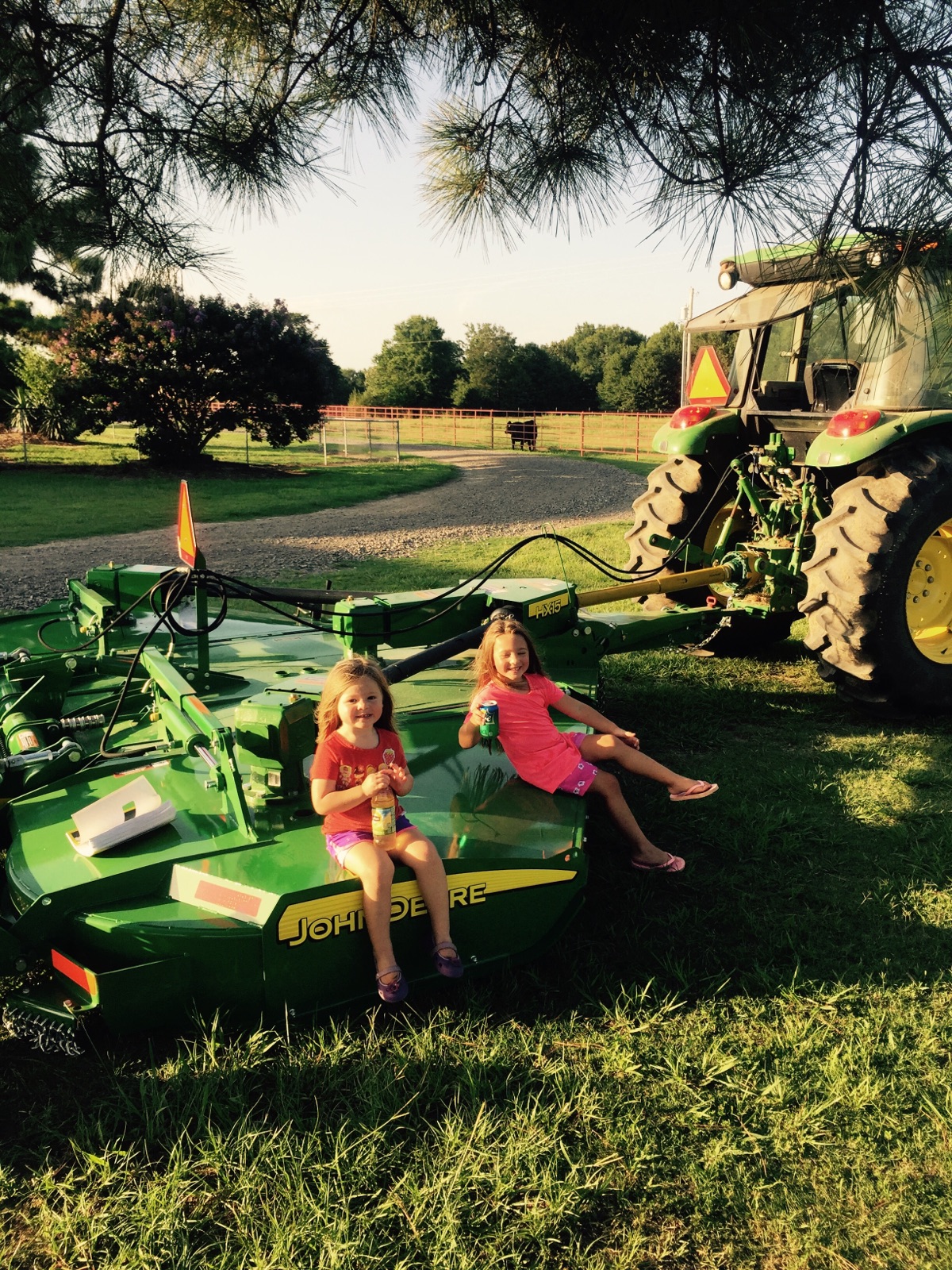 Photos Shockley Herefords Hereford in Poteau, OK