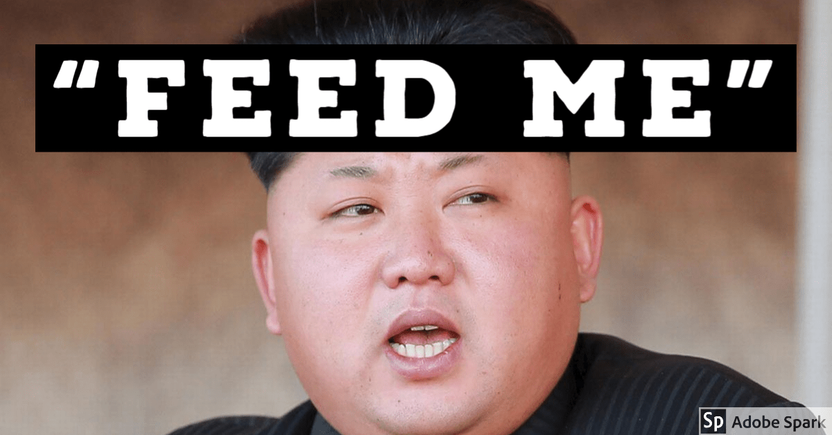 North Korea Orders Pet Dogs Confiscated, Euthanized, And Chopped Up For