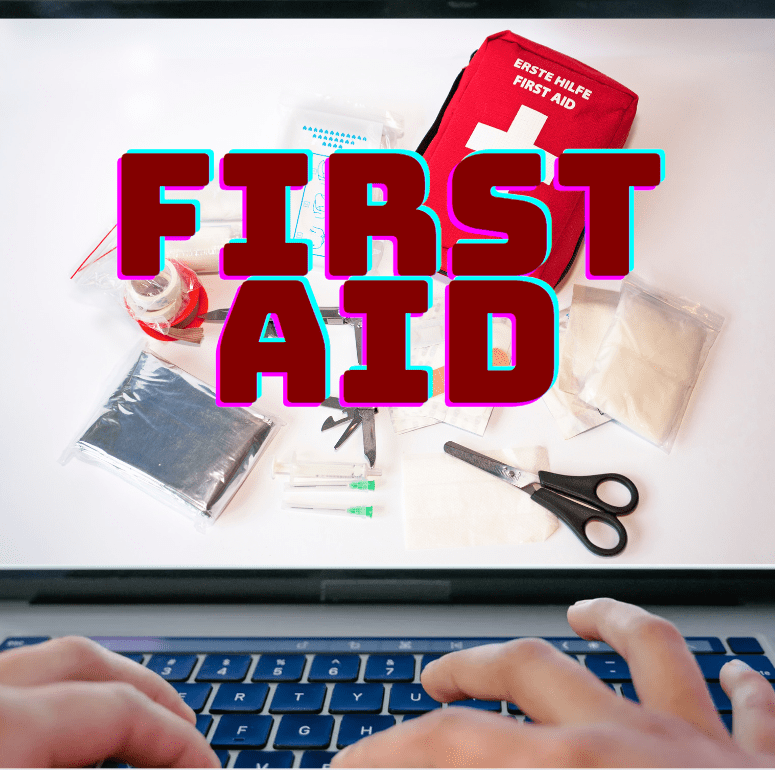 First Aid Online Training Course ShoenSafety LLC