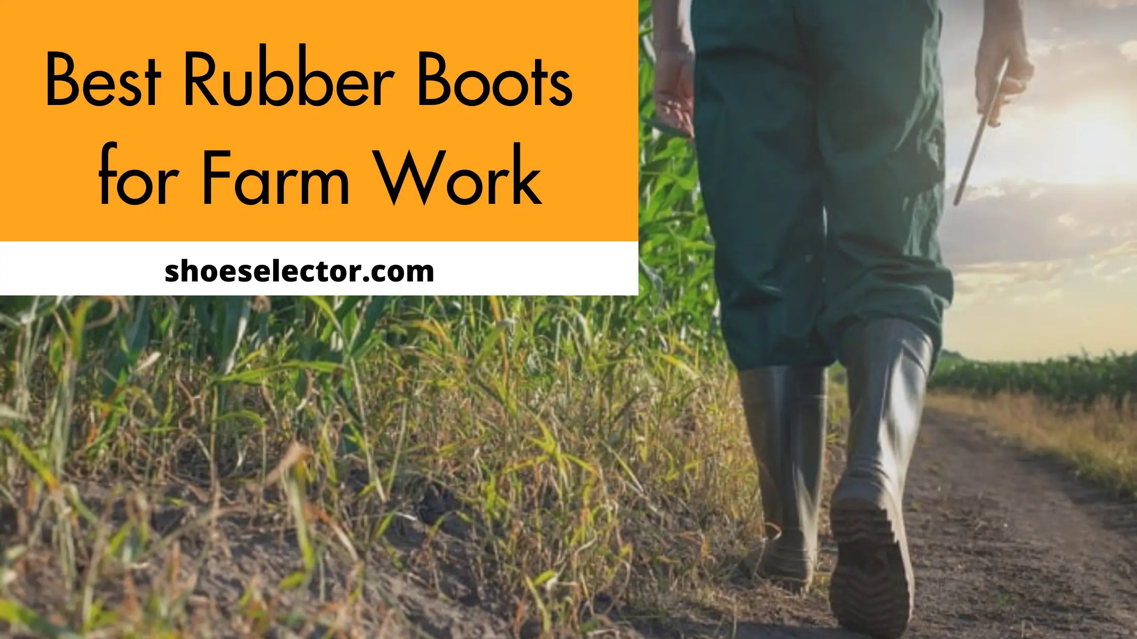 Trending The Top 6 Best Rubber Boots For Farm Work Reviews