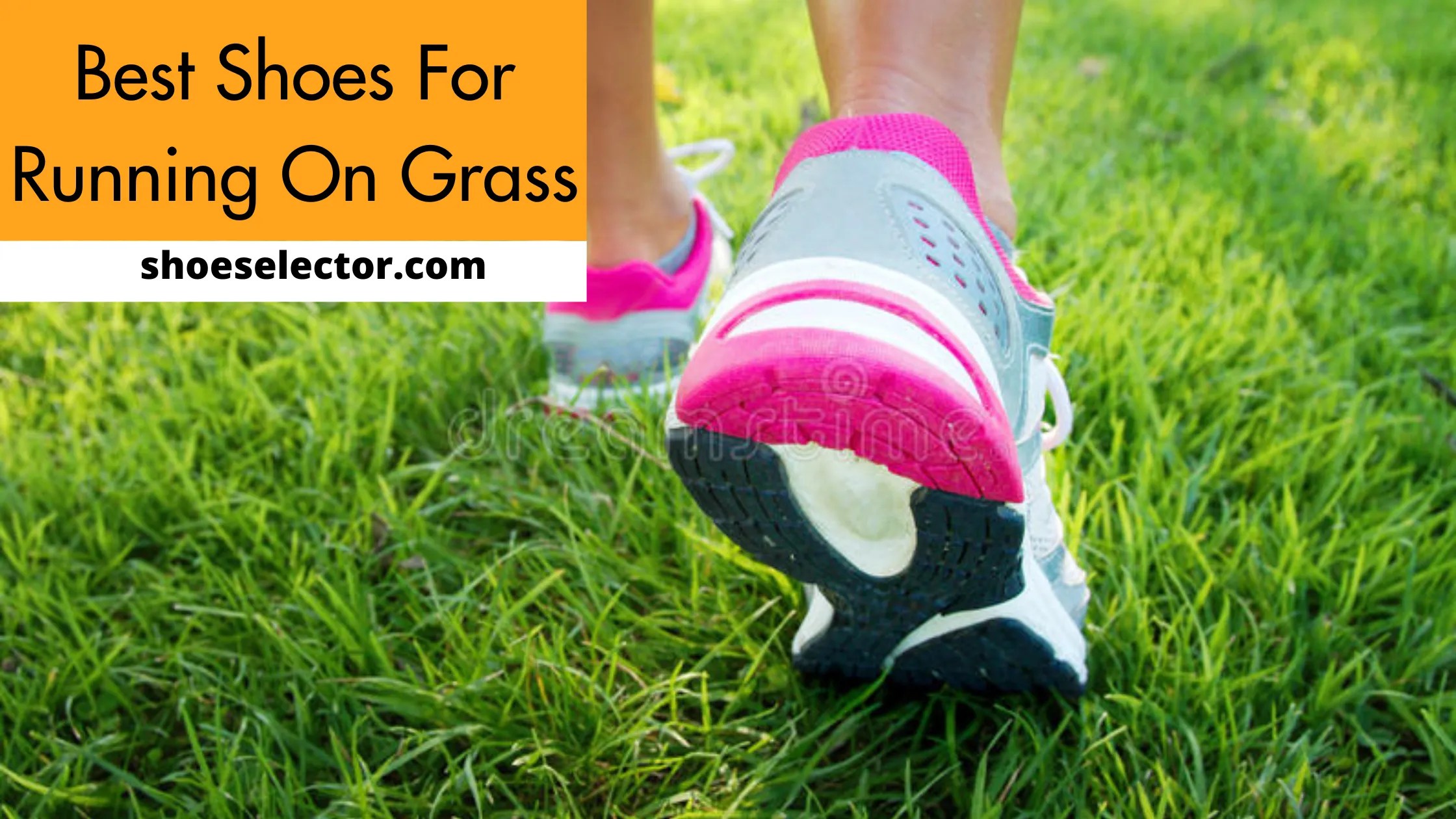 Leading The Top 6 Best Shoes For Running On Grass Reviews 2023