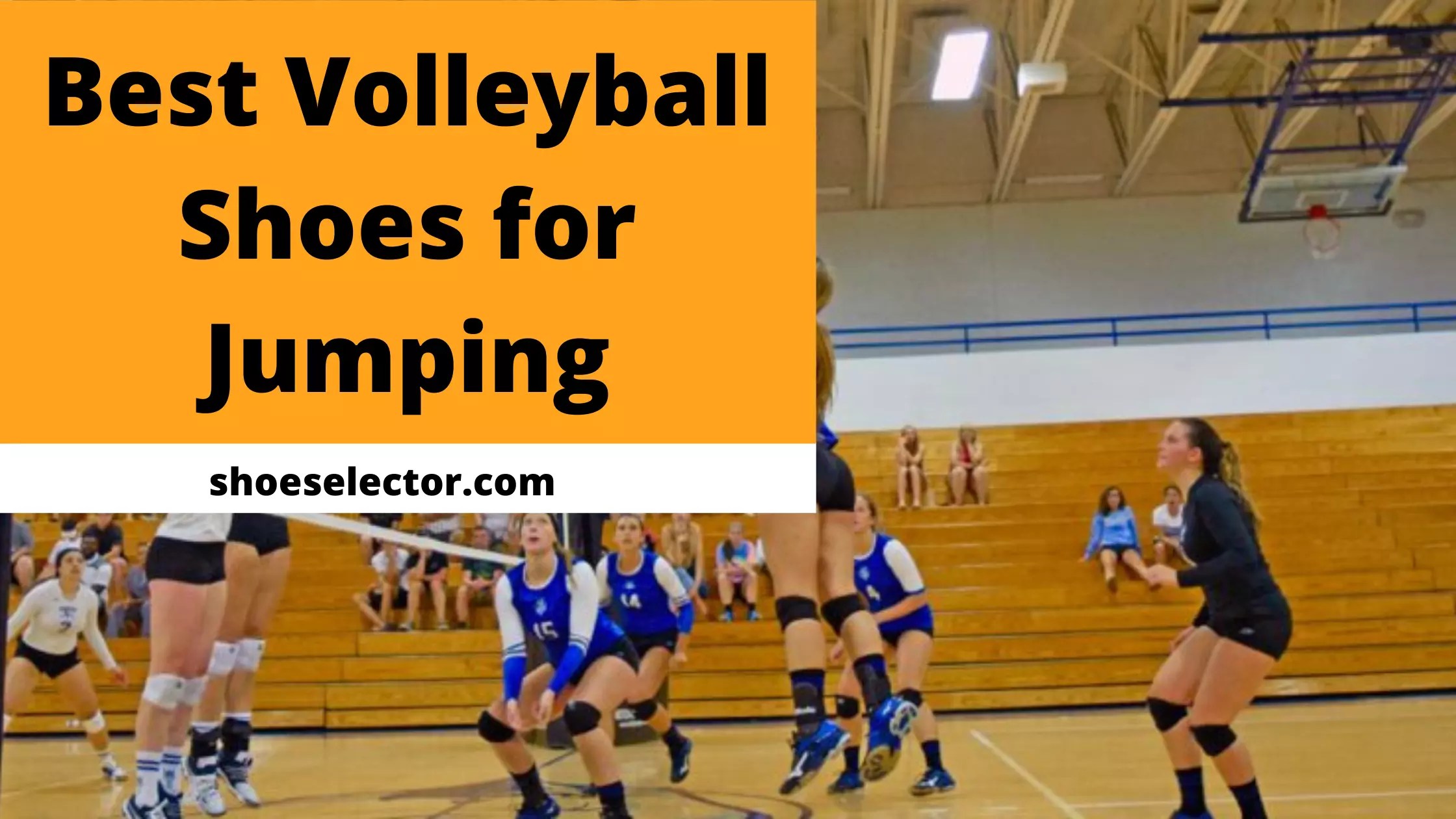 List of Top 6 Best Volleyball Shoes For Jumping Reviews 2023