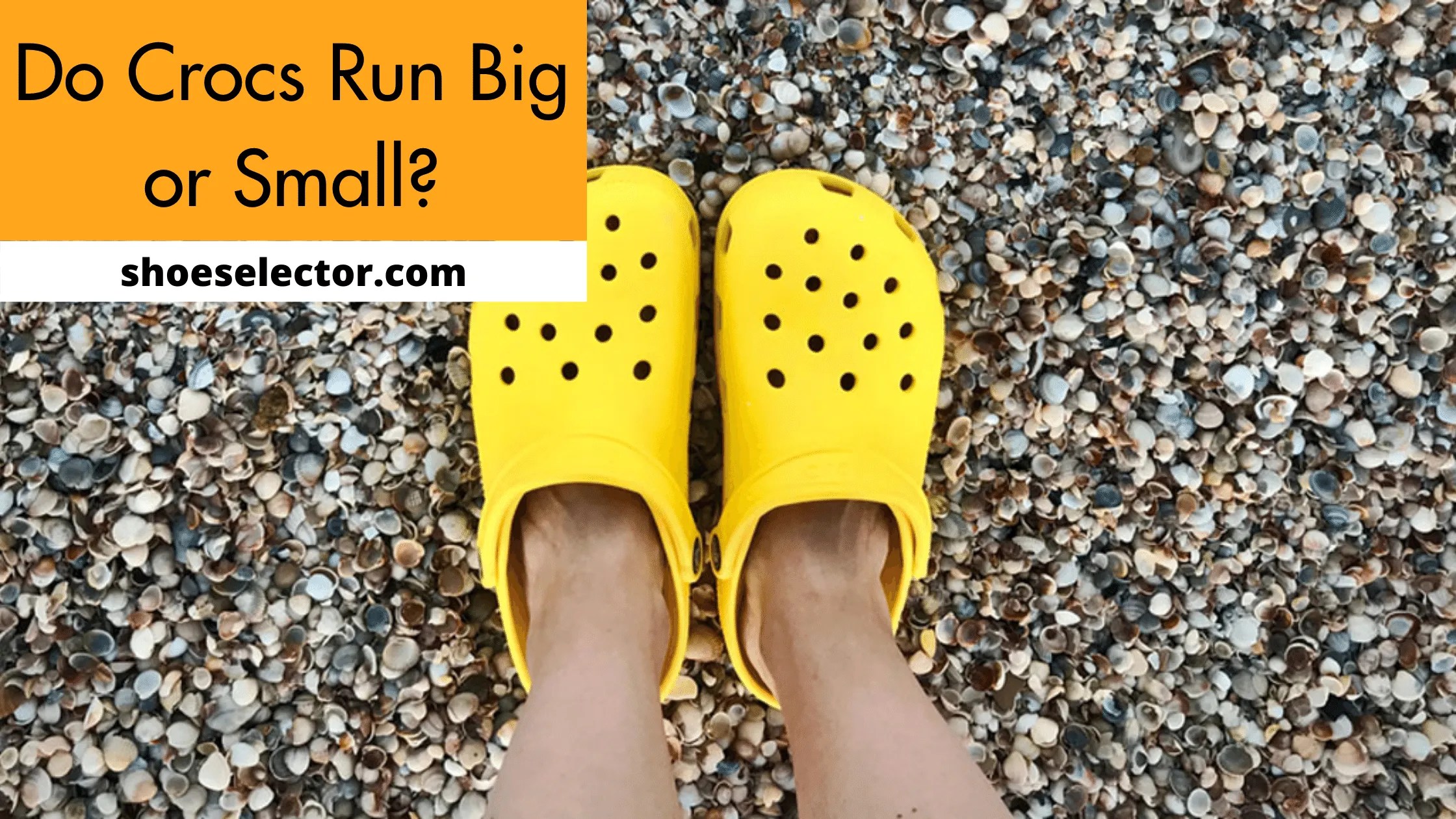 Do Crocs Run Big or Small? With Tips and Tricks 2023