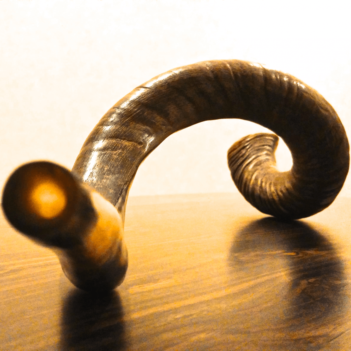 Shofar Shofar The Sound of Covenant