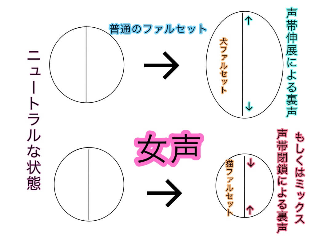 女声の出し方は『声帯閉鎖のコントロール』が重要