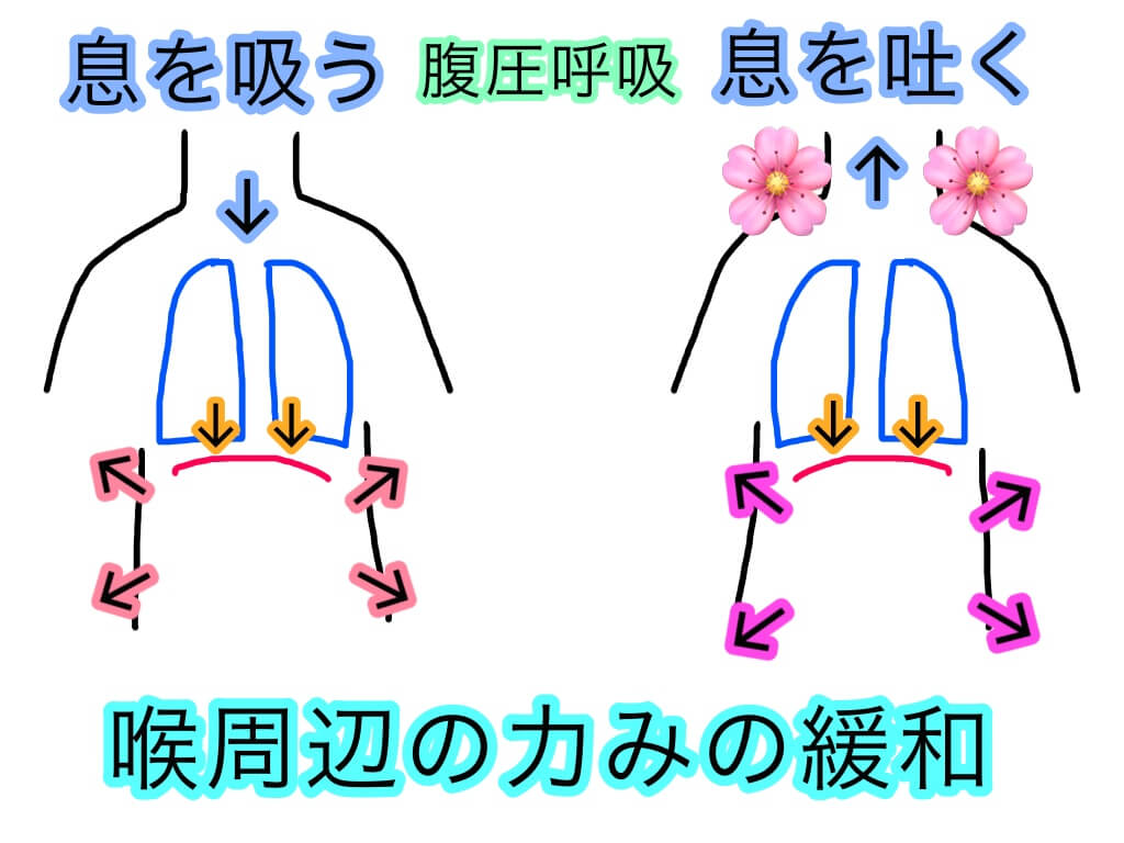 腹式呼吸のやり方や練習方法についての考察【2種類の腹式呼吸】