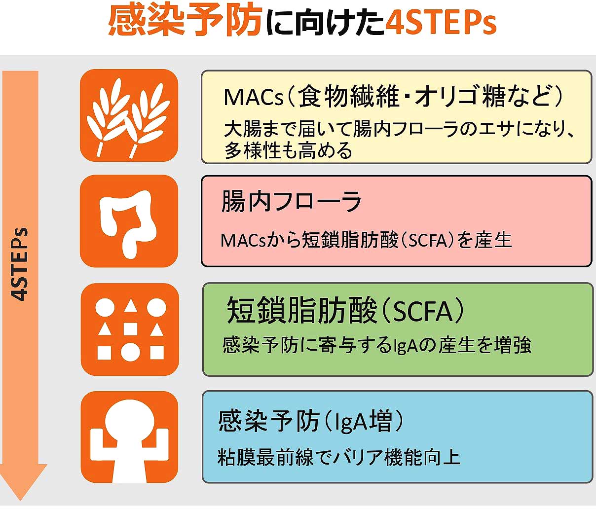 腸は感染予防の最前線 ビフィズス菌＋食物繊維で免疫力アップを 江崎グリコがセミナー 食品新聞 WEB版（食品新聞社）