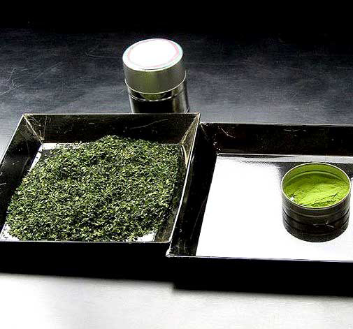 抹茶と健康研究会 あいや 伊藤園 共栄製茶 ネスレ日本 食品新聞 WEB版（食品新聞社）