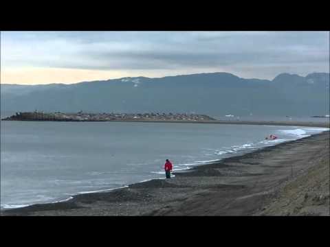 パーク最新波情報動画