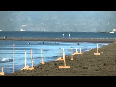 パーク最新波情報動画