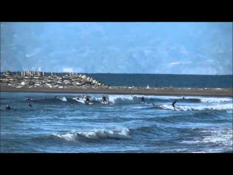 パーク最新波情報動画