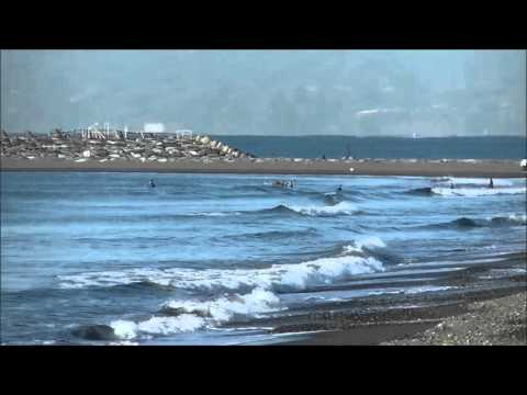 パーク最新波情報動画