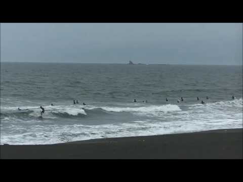 辻堂海岸最新波情報動画