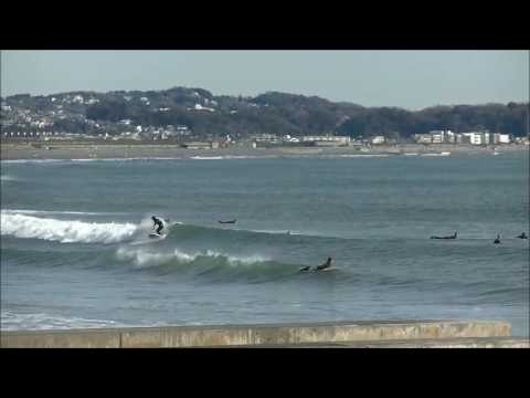 パーク最新波情報動画