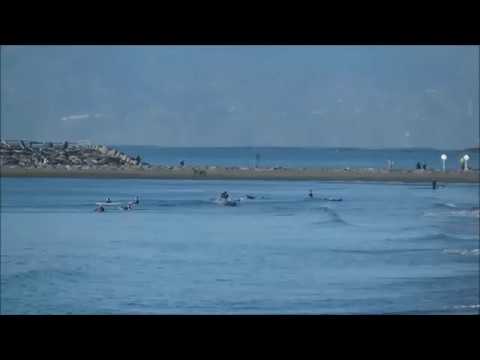 パーク最新波情報動画