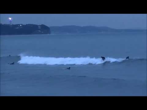 パーク最新波情報動画