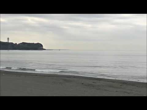 辻堂海岸最新波情報動画