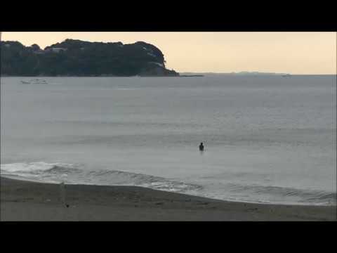 辻堂海岸最新波情報動画