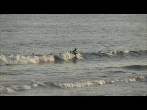 辻堂海岸最新波情報動画