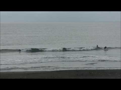 辻堂海岸最新波情報動画
