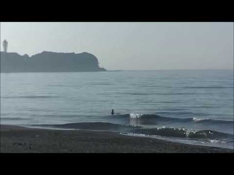 辻堂海岸最新波情報動画