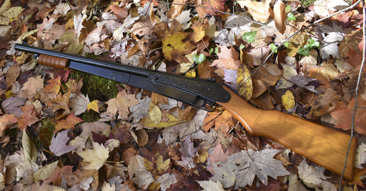 The Daisy Model 25—108 Years and Counting Shoot On