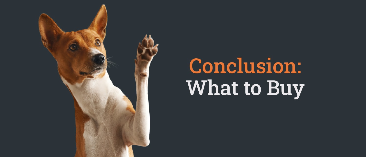 Can Dogs Eat Deer Bones? — What Dog Owners Should Know