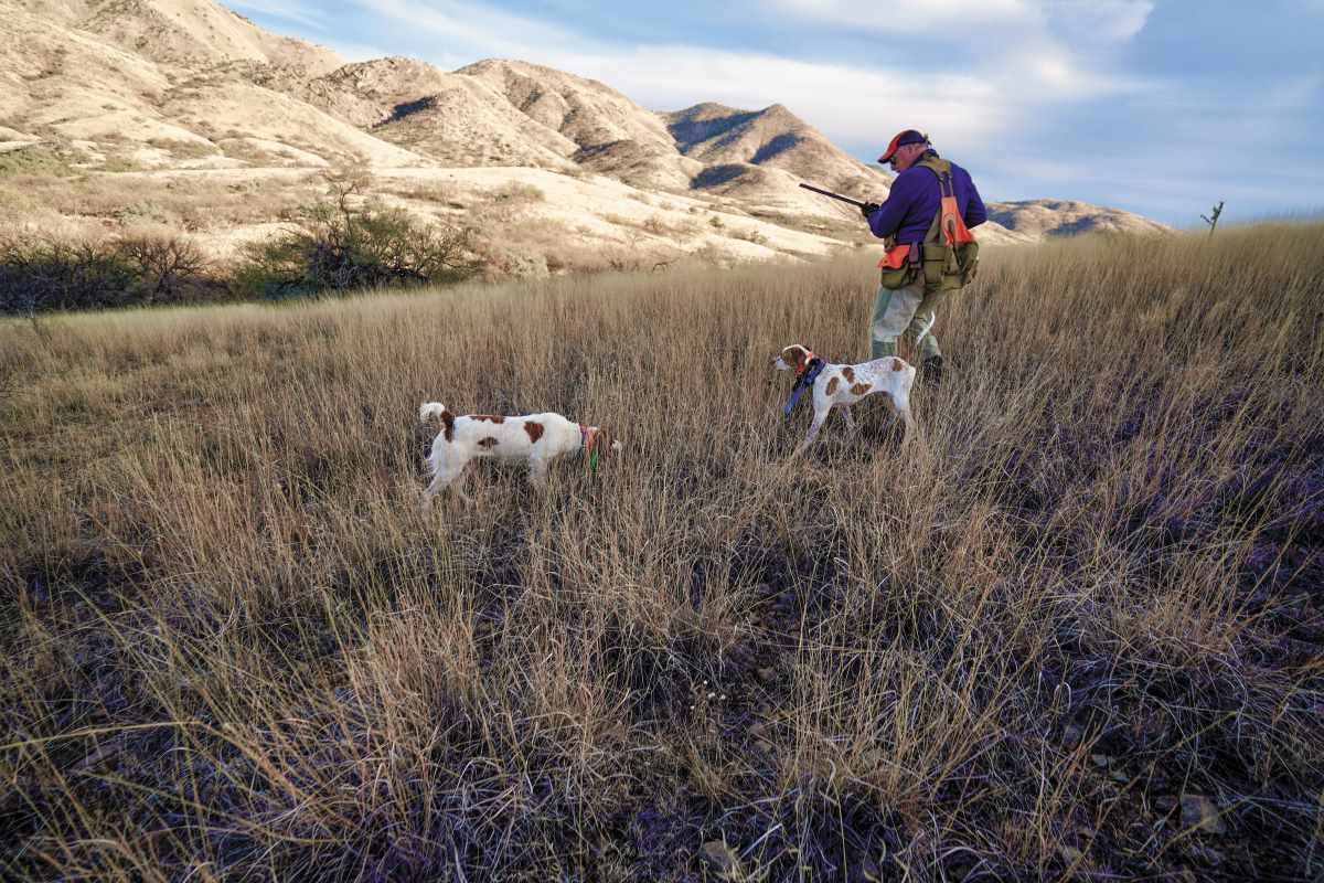 Dave Brown Outfitters