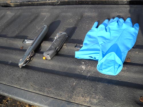 How To Field Dress A Deer