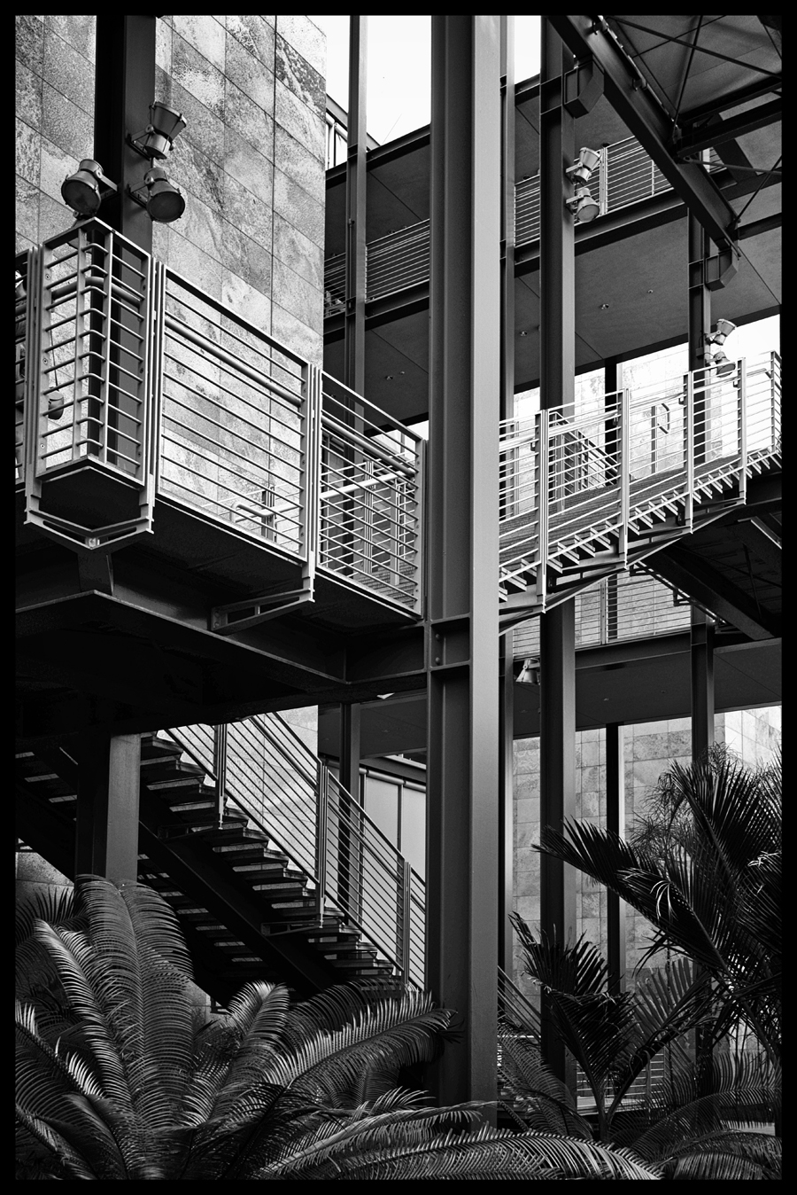 Cee’s Black & White Photo Challenge Lines and Angles Shoot 'N Go