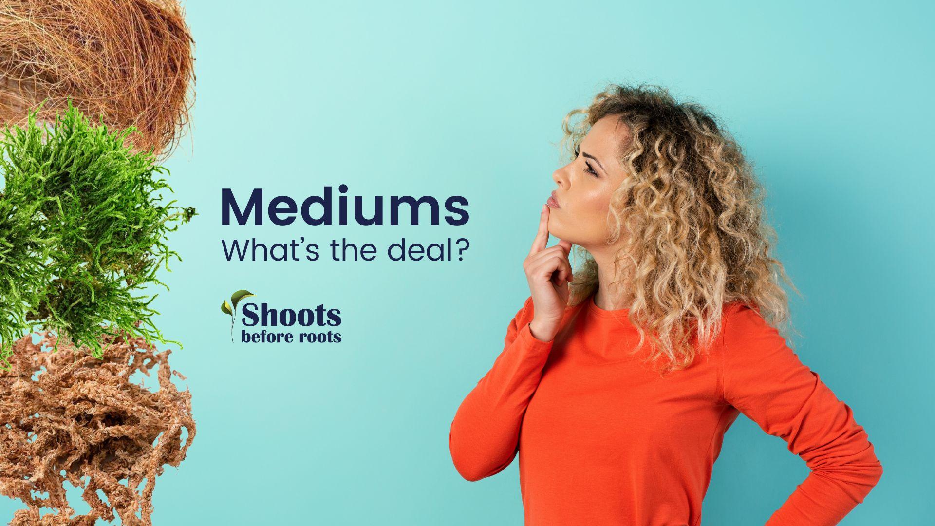 Comparing moss pole mediums