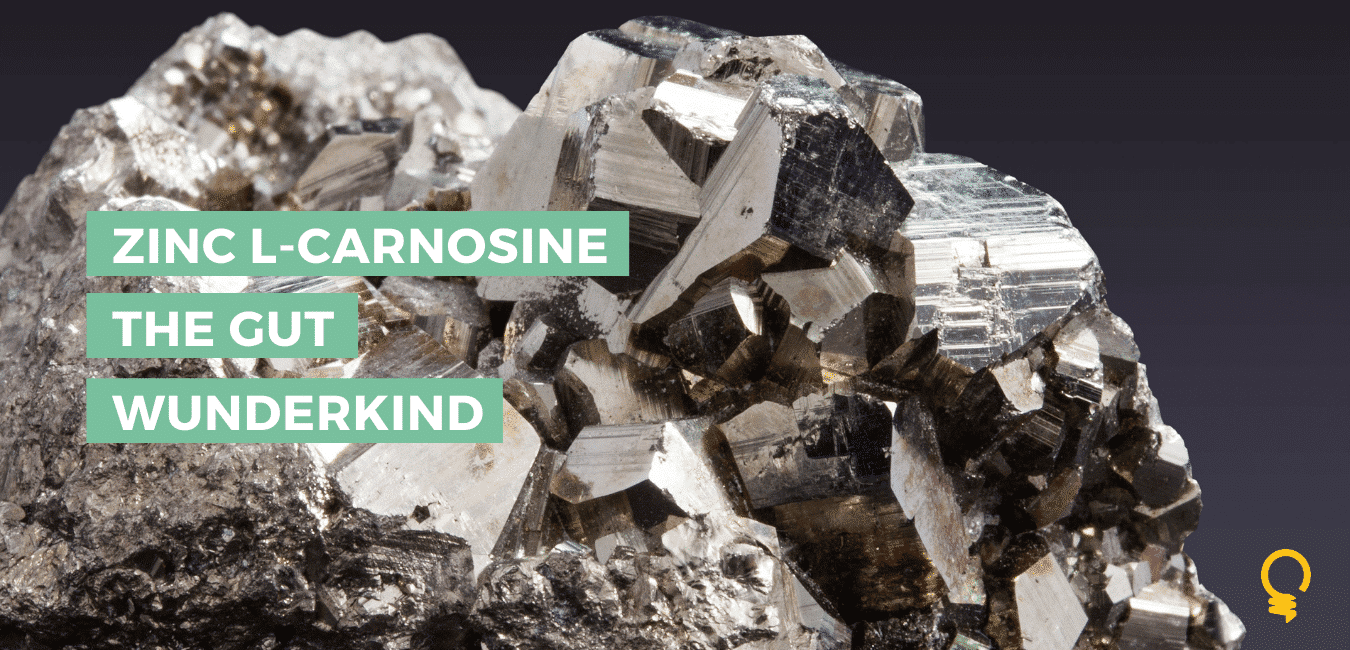The Benefits of Zinc LCarnosine and Gut Health