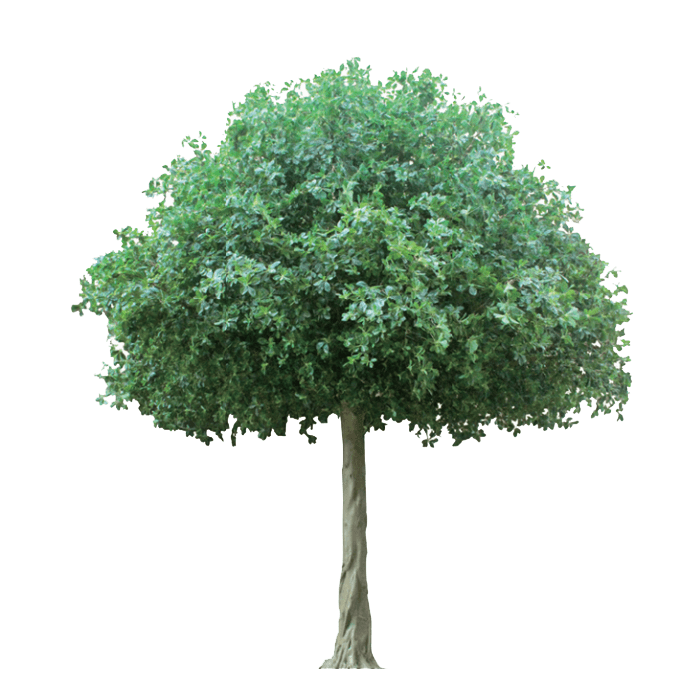 Artificial Trees Alsulaiteen Gardens