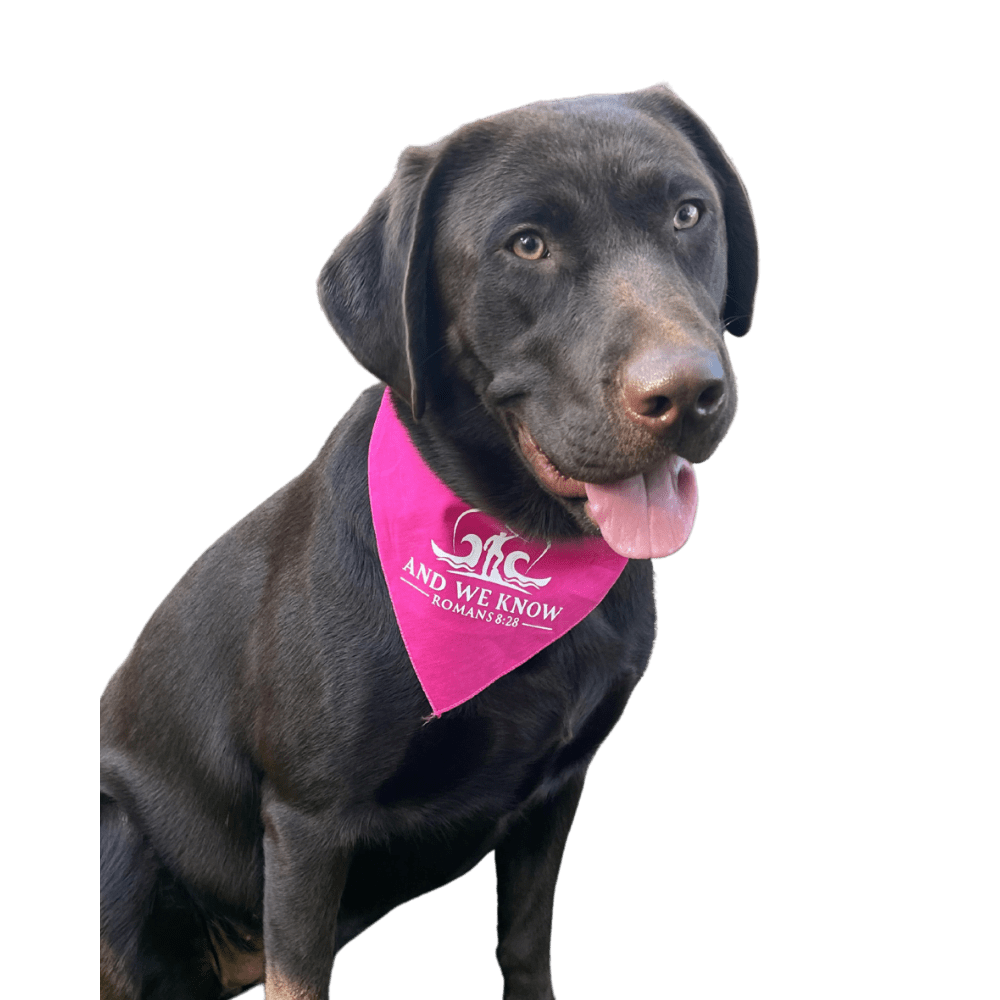 AWK Pet Bandanas AWK Merch