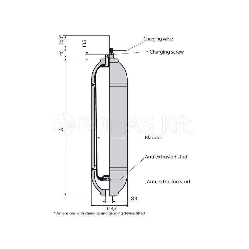 Bladder Accumulators