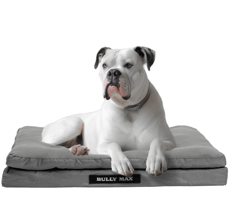 Heavy Duty Dog Bed for Big Dogs Washable Memory Foam Antiodor