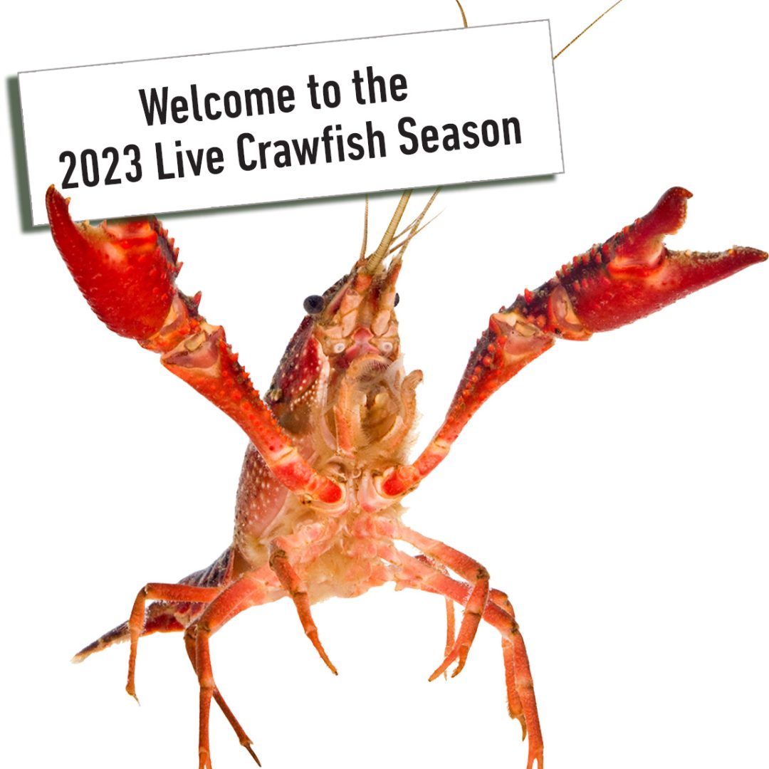 Shop CajunCrawfish Store