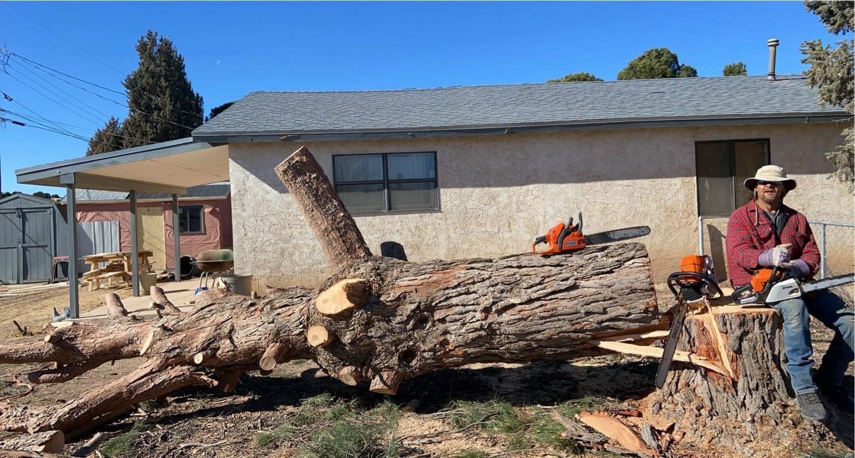 Lawn & Garden Archives The Store