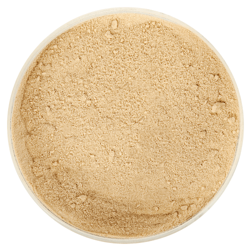 Balsamic Vinegar Savory Powder 510001S