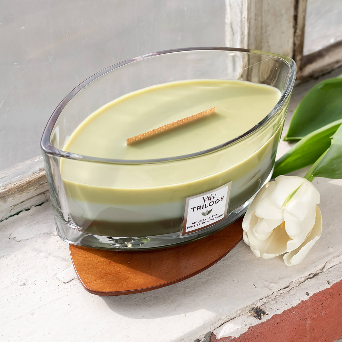 Cвічки Woodwick аромат, що змінює простір Д.Магазин огляди / ідеї