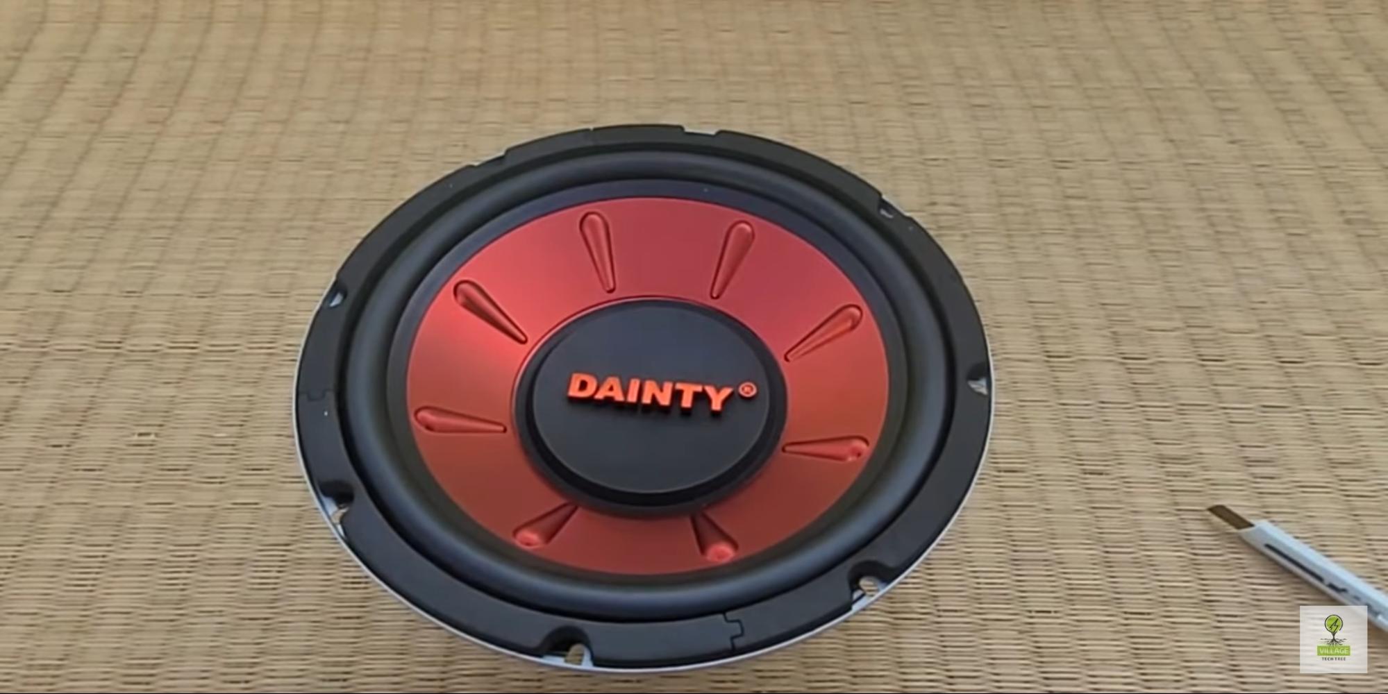 Dainty 10 inch subwoofer