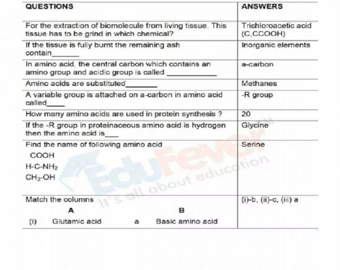Biomolecules Revision Notes for NEET Entrance Exam