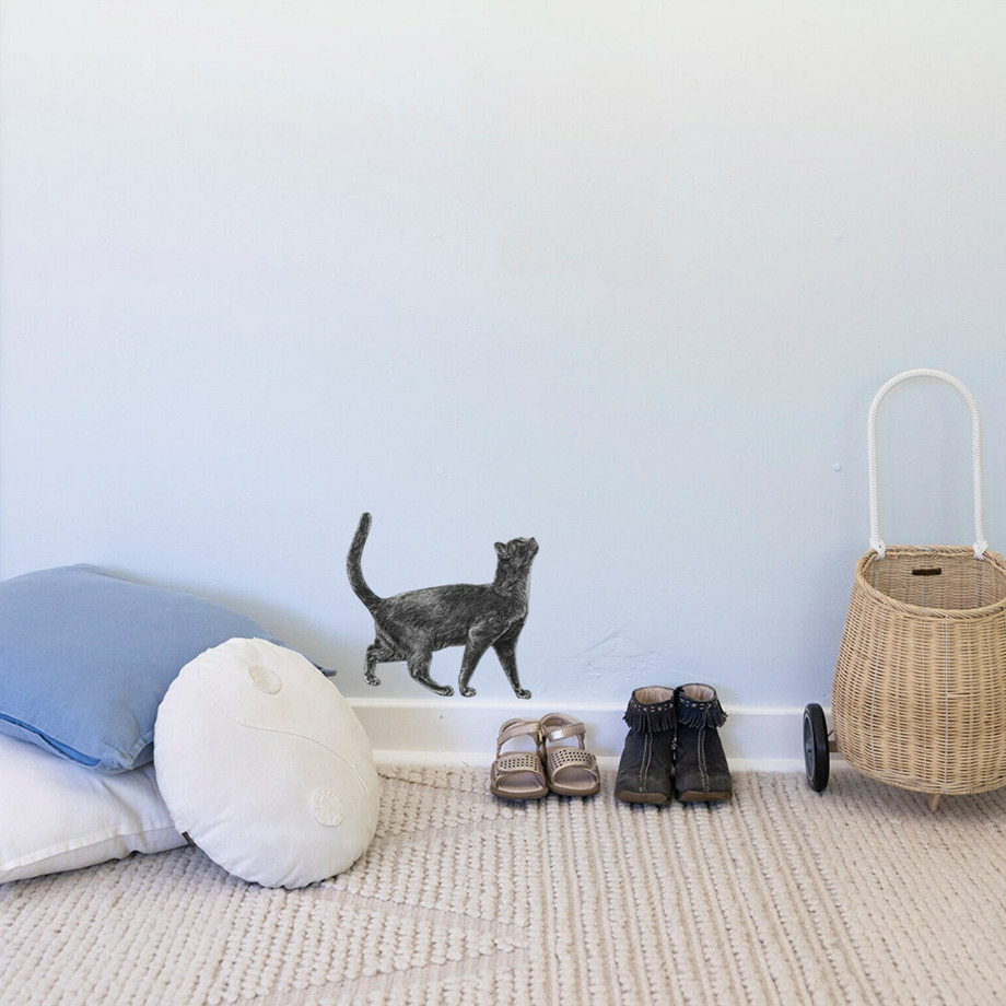 Hand Drawn Wall Decal Cat Fremantle Arts Centre