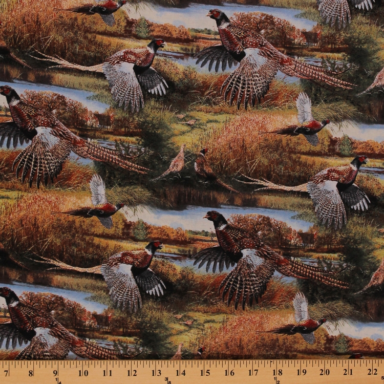 Cotton Feathered Run Birds Pheasant Animals Nature Hunting Cotton Fabric Print by Yard (59995