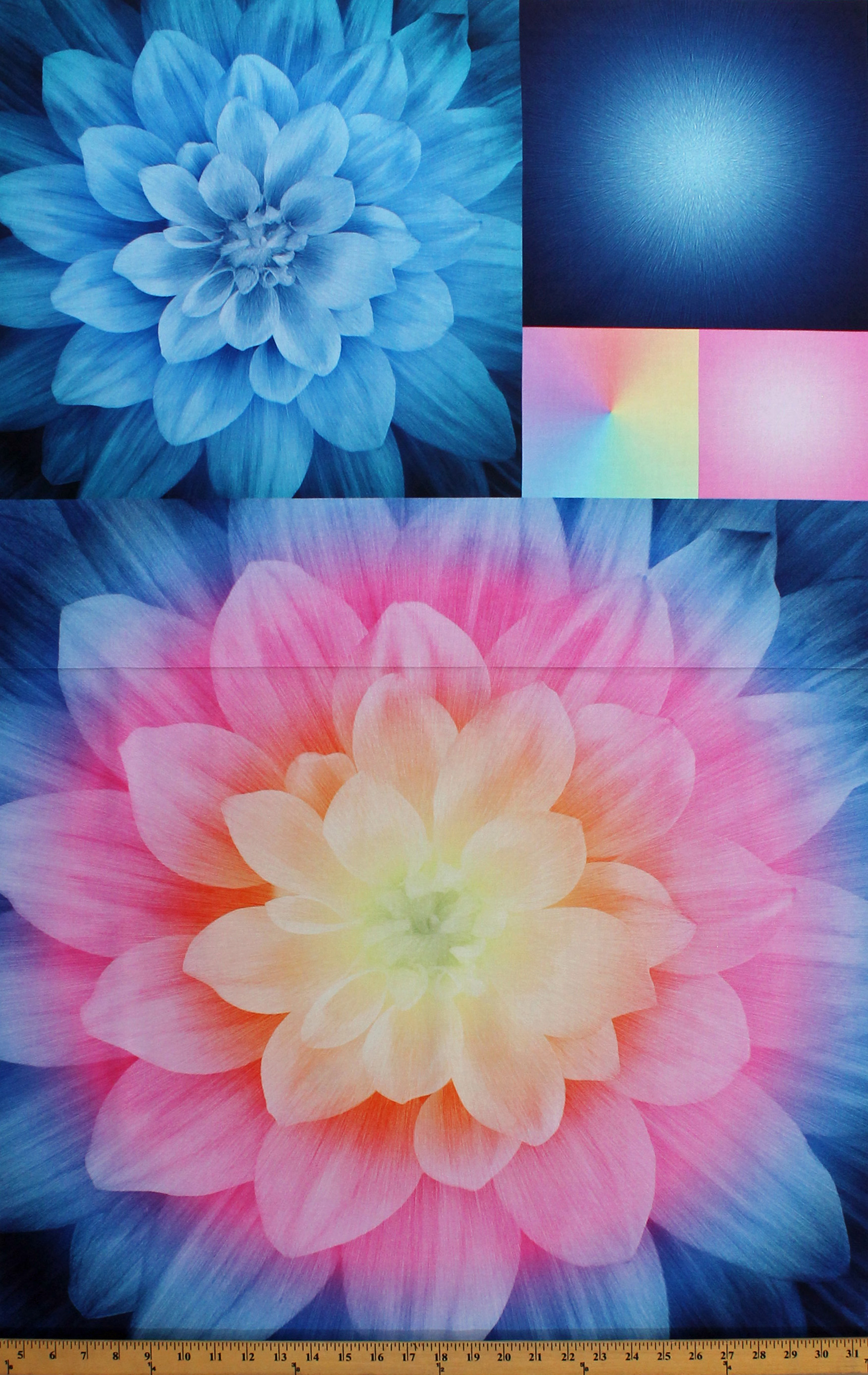 28" X 42" Panel Dahlia Flowers Floral Neon Colors KaBlooms Digital