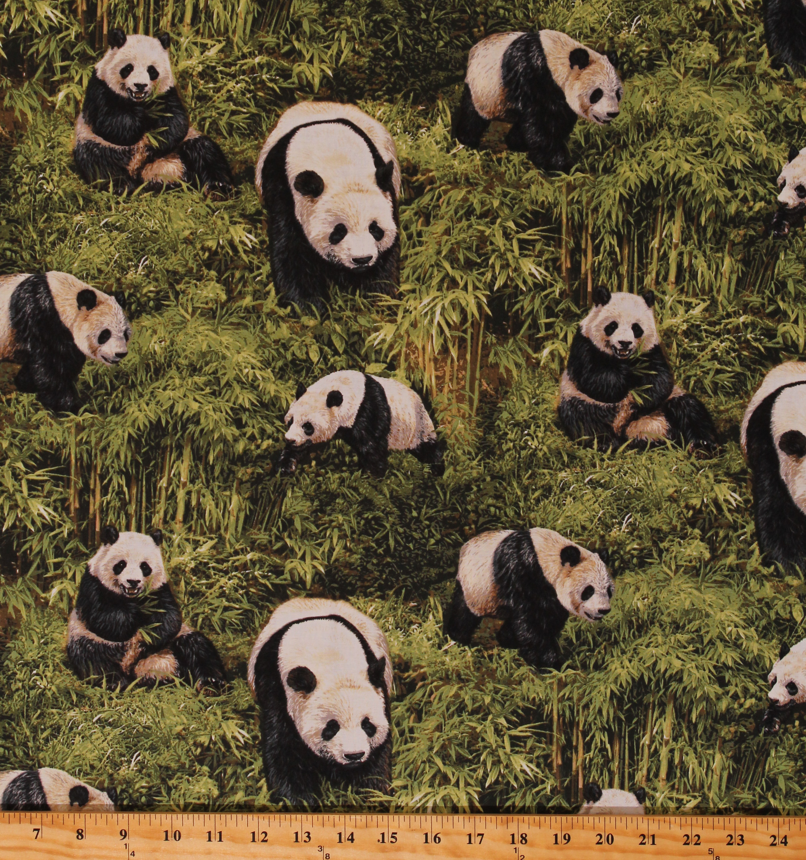 Cotton Panda Bear Pandas Animals Bamboo Jungle Nature Wildlife Born